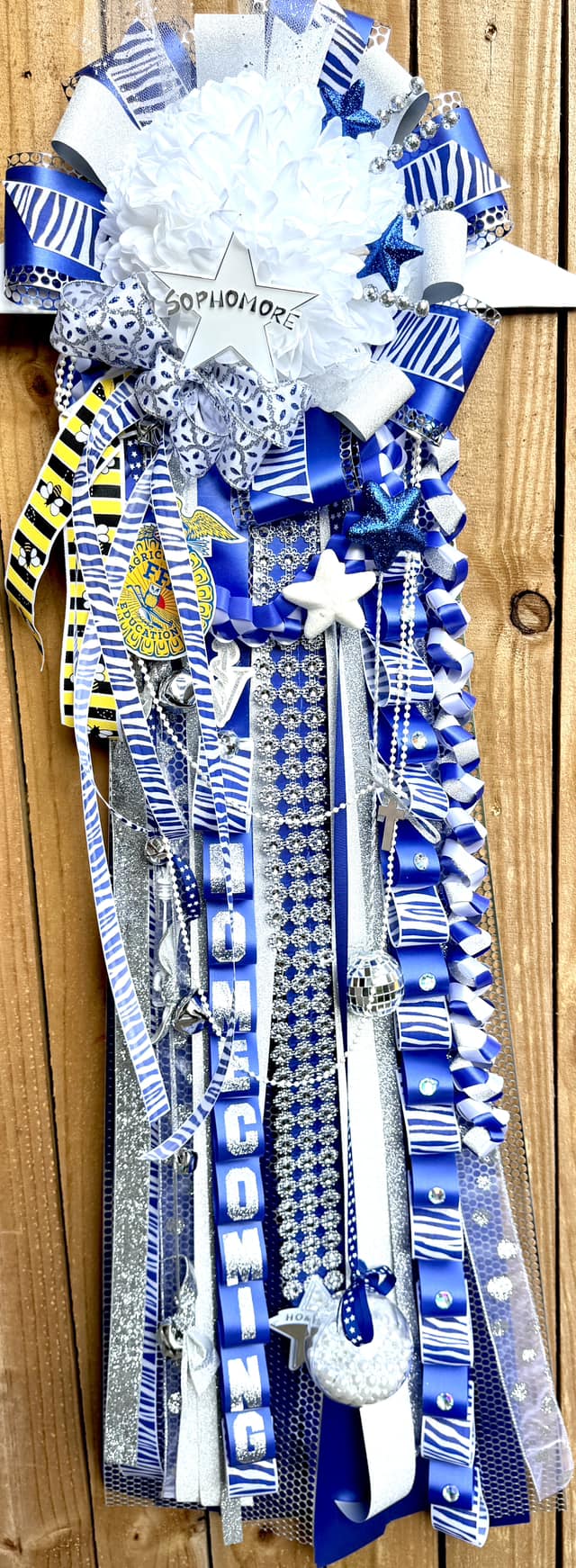 Zebra Crystal Ribbon #9 – A Homecoming Must-Have!