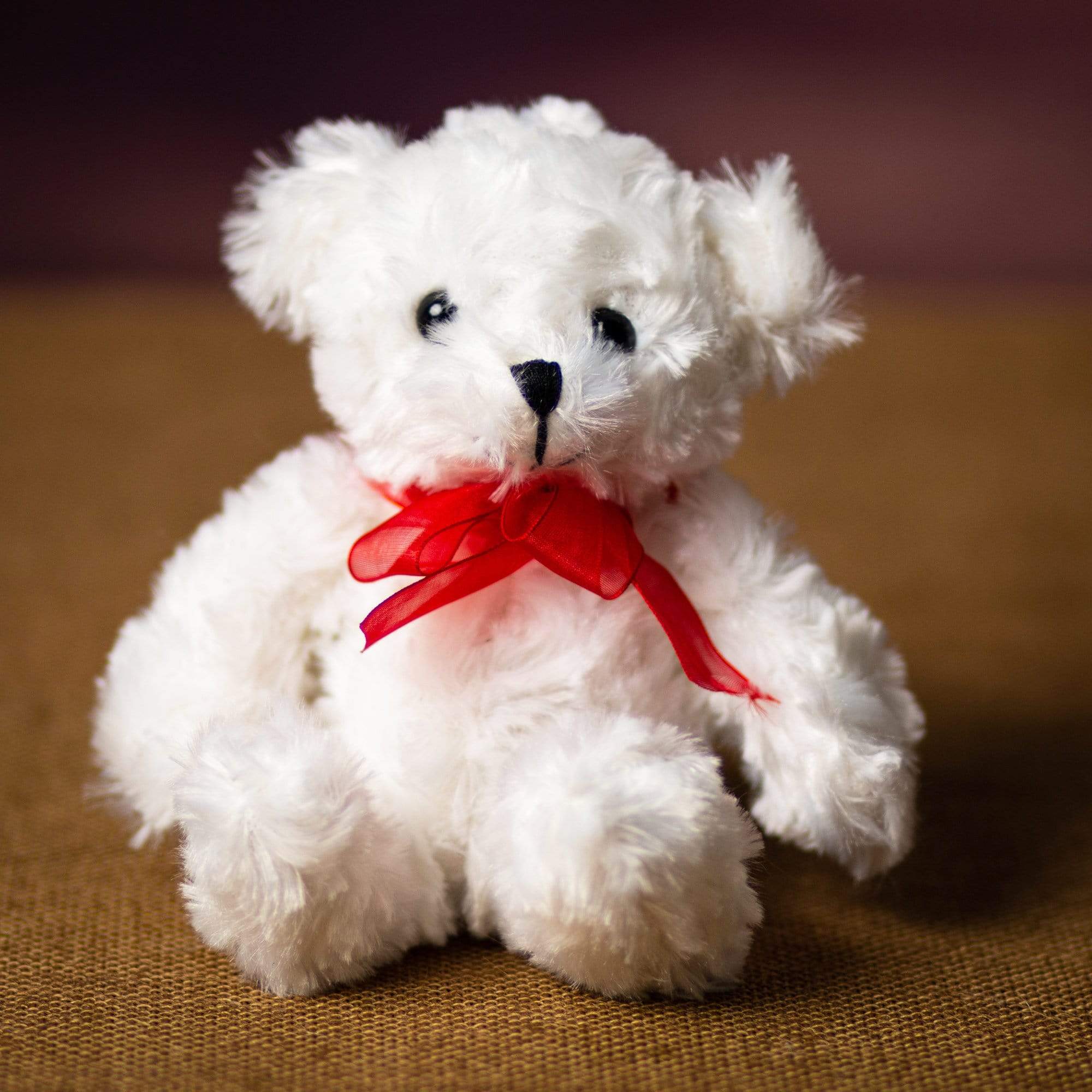 Plush Bears for Homecoming Mums – Gold, Silver, & White – Multiple Sizes