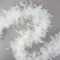 Chandelle Feather Boa – 6ft Craft Feather Trim for Homecoming Mums, Garters, Costumes & DIY Decor (Multiple Colors)