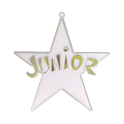 Class Star Charm – Freshman, Sophomore, Junior, Senior | Gold or Silver